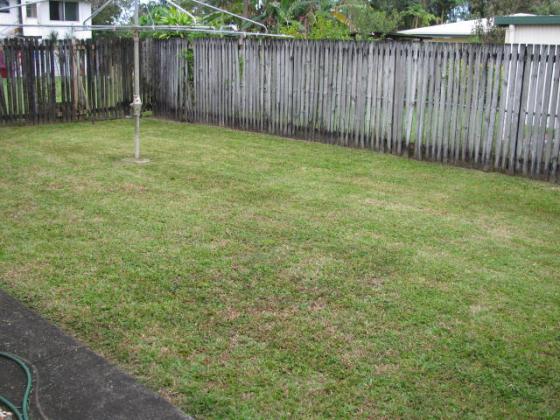 The yard after Scoob got to it | After Gallery Scoob Cairns Before gallery-grass-after.jpg