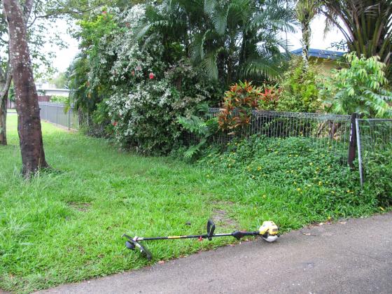 Nature strip - before | Cairns Before Gallery Scoob After gallery-nature-strip-after.jpg