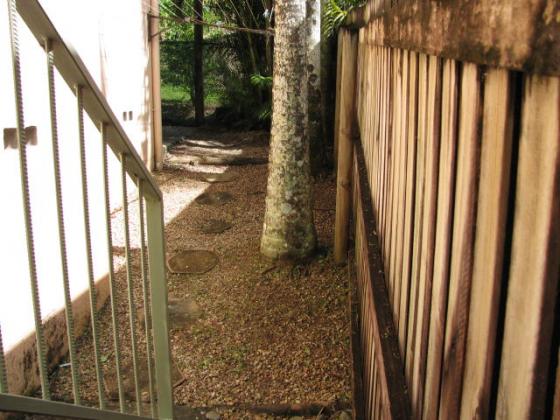 What weeds? | After Before Cairns Gallery Scoob gallery-weed-removal-after.jpg