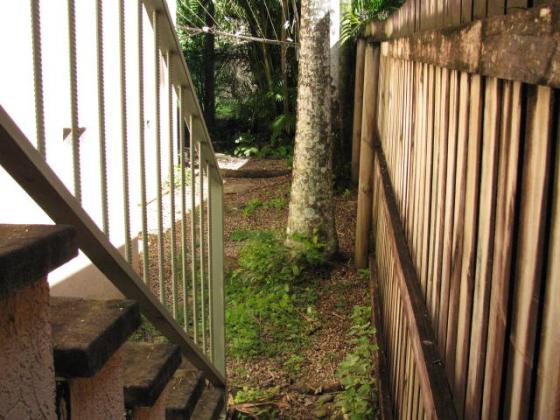 Ah the weeds! | Scoob After Before Cairns Gallery gallery-weed-removal-before.jpg