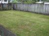 gallery-grass-after.jpg gallery-grass-after.jpg
