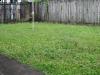 gallery-grass-before.jpg gallery-grass-before.jpg