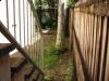 gallery-weed-removal-before.jpg gallery-weed-removal-before.jpg